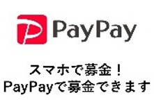 paypay